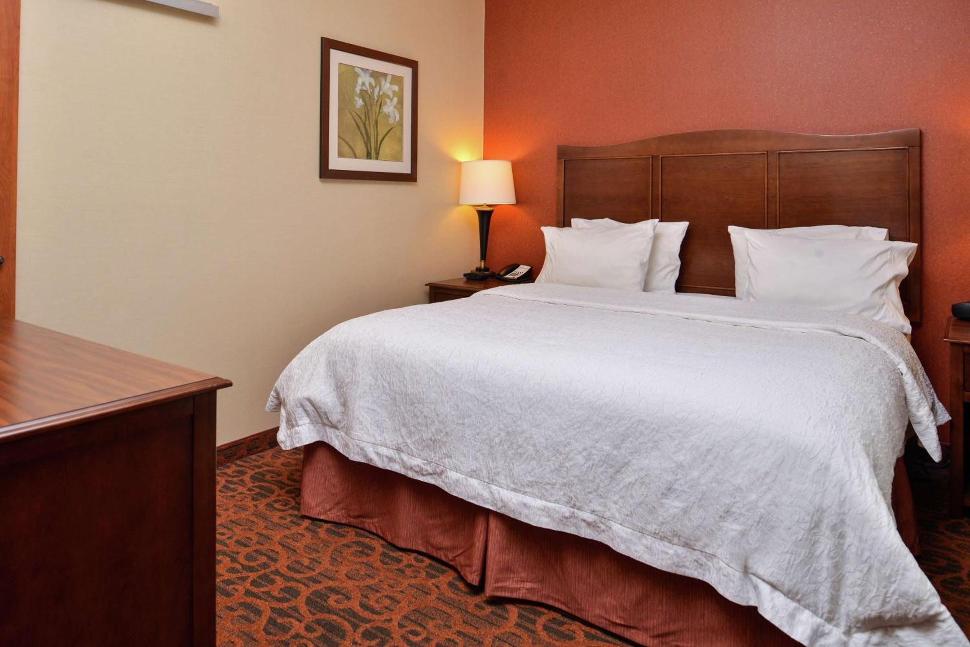 Hampton Inn Idaho Falls / Airport Esterno foto